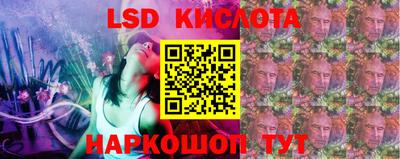 PSILOCYBIN Заводоуковск