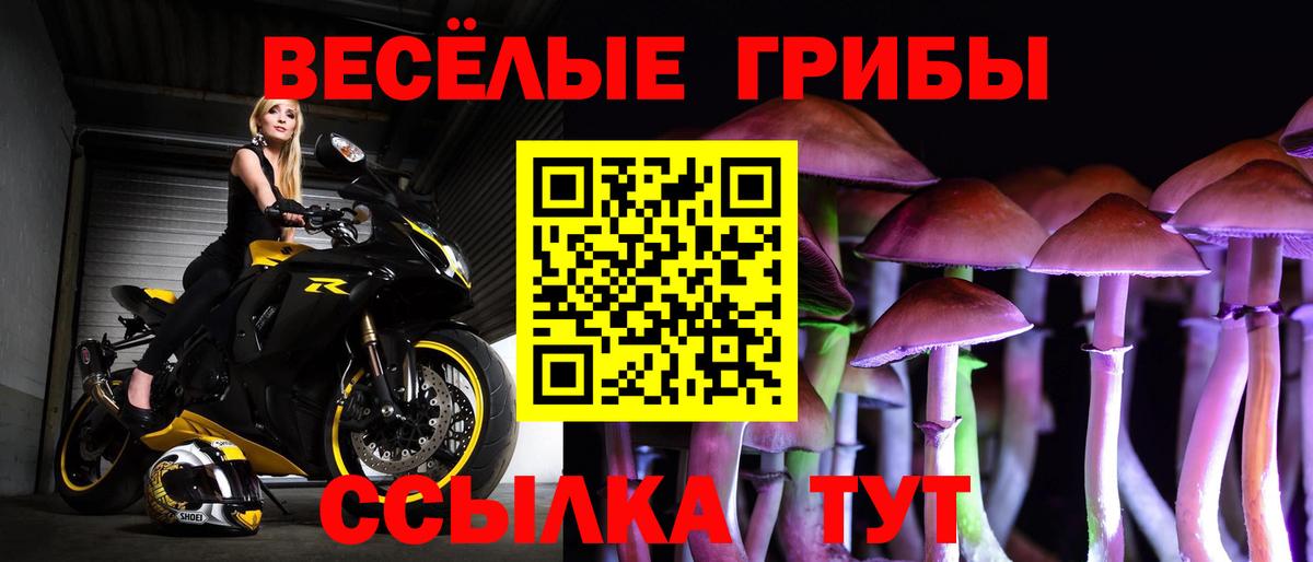 Псилоцибиновые грибы прущие грибы  Вход с VPN  Магадан 